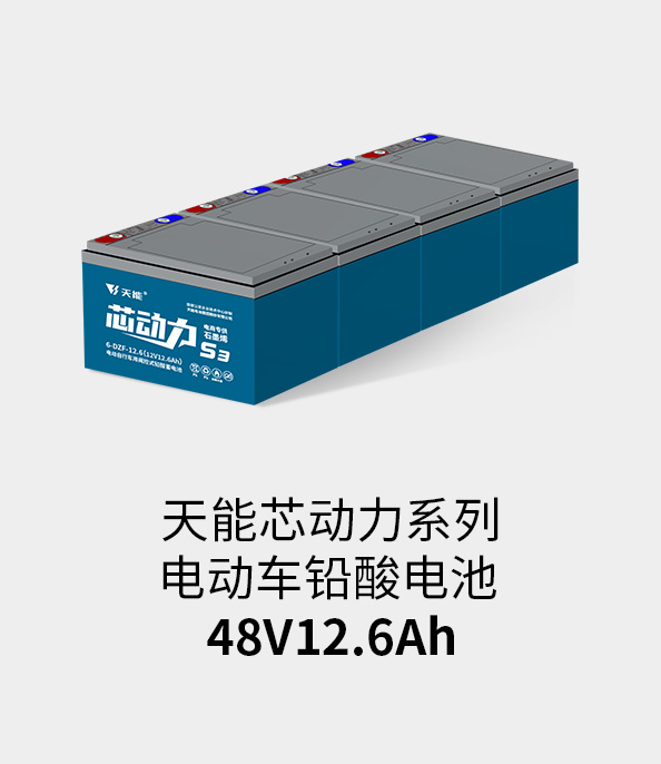 优发国际电池48v12ah