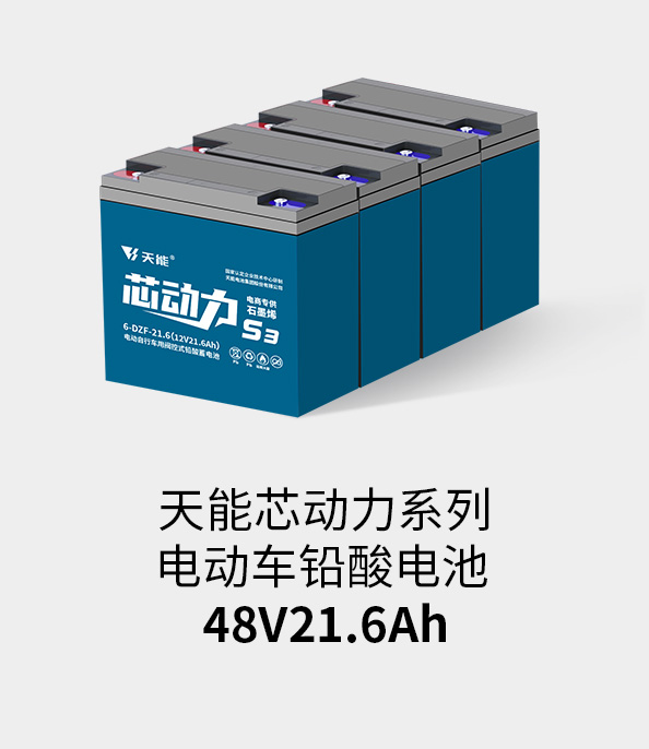 优发国际电池48v20ah