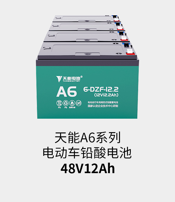 优发国际电池48v12ah