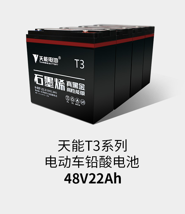 优发国际T3系列48v22ah