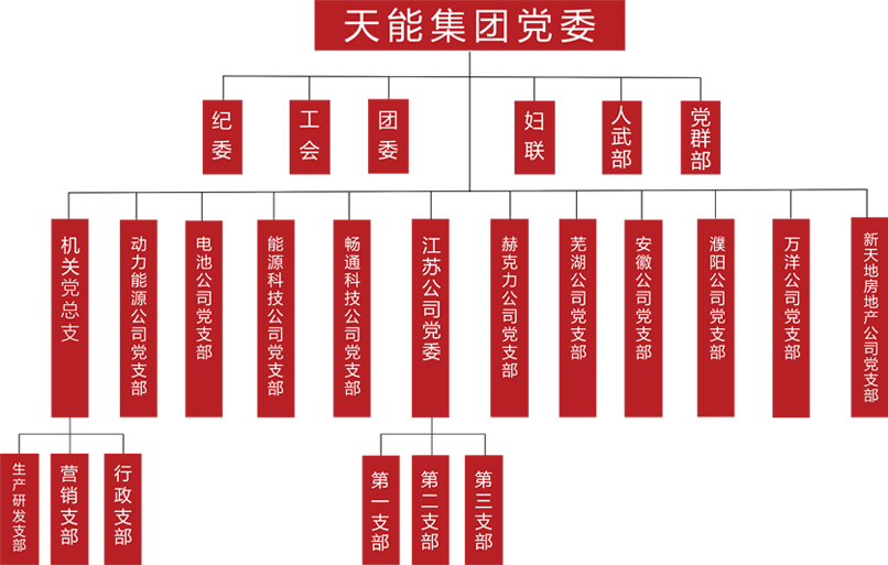 优发国际建团党委组织架构